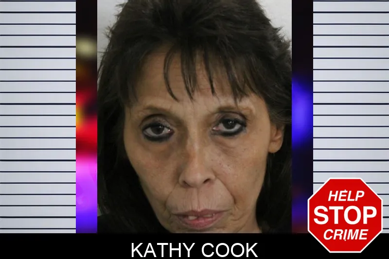 Kathy Cook mugshot