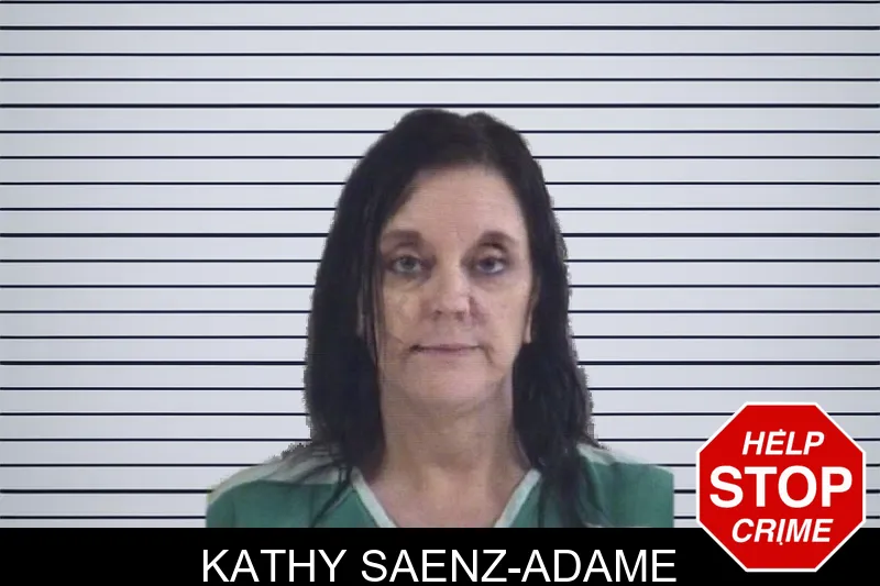 Kathy Saenz-Adame mugshot – Whitfield County , Georgia Kathy Saenz-Adame mugshot