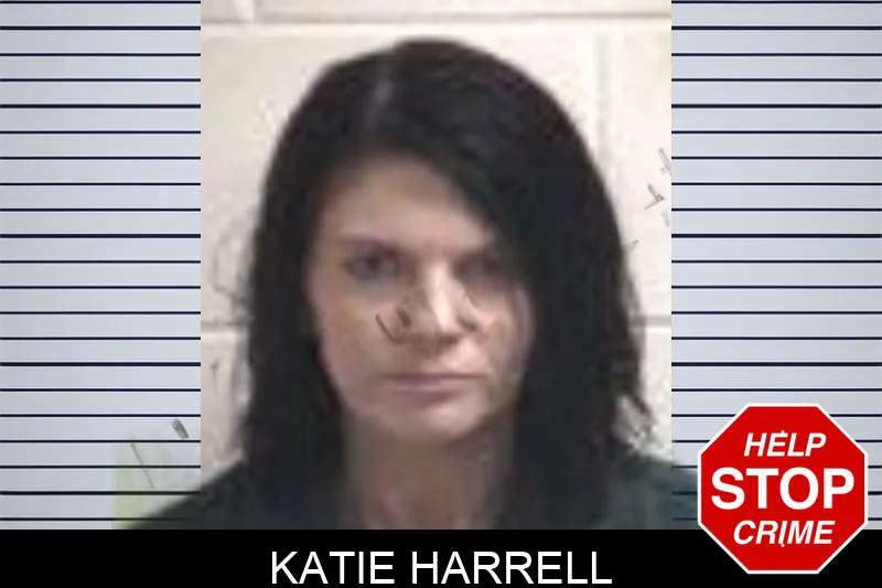 Katie Harrell mugshot
