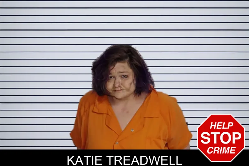 Katie Treadwell mugshot – Rockdale County , Georgia Katie Treadwell mugshot