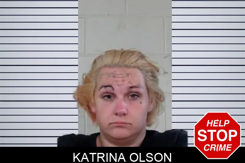 Katrina Olson mugshot – Liberty County , Georgia Katrina Olson mugshot