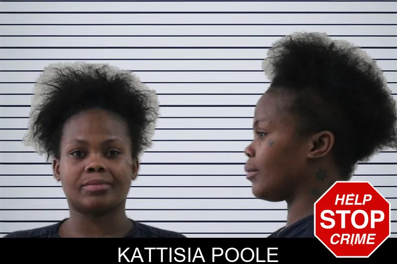Kattisia Poole mugshot – Houston County , Georgia Kattisia Poole mugshot