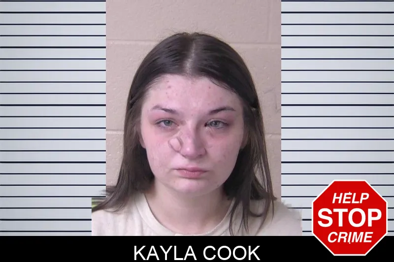 Kayla Cook mugshot – Walker County , Georgia Kayla Cook mugshot