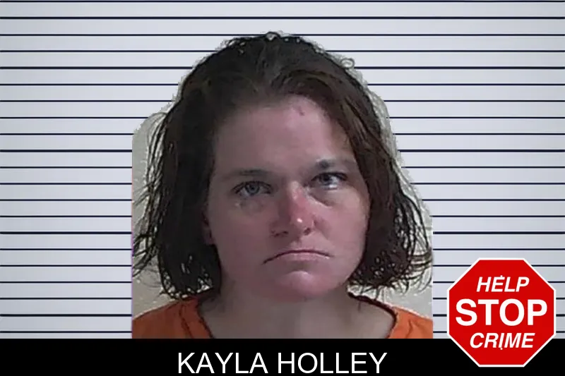 Kayla Holley mugshot