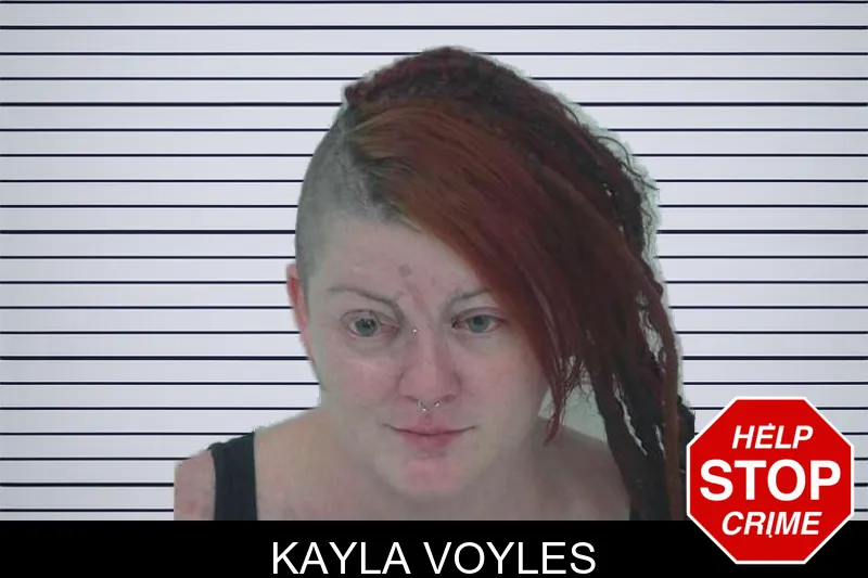 Kayla Voyles mugshot