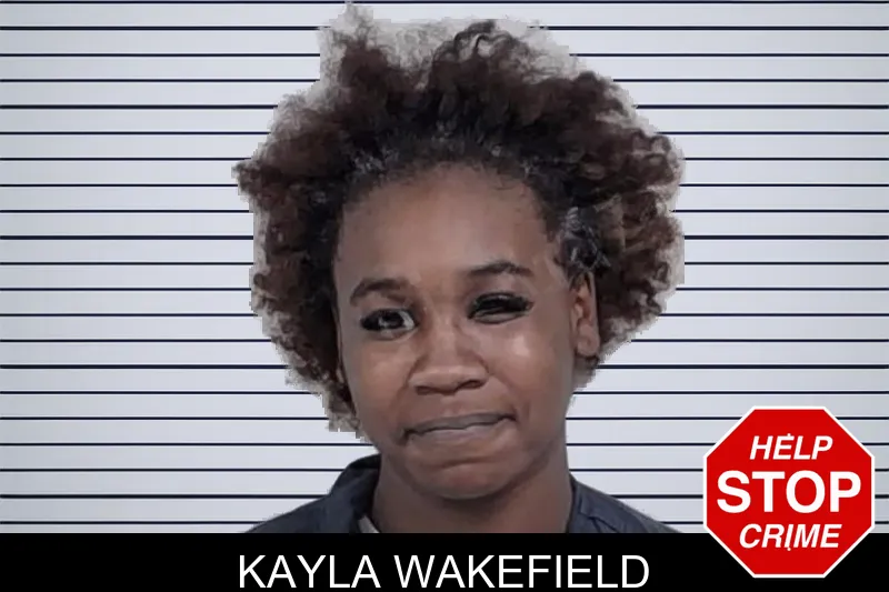 Kayla Wakefield mugshot – Lowndes County , Georgia Kayla Wakefield mugshot