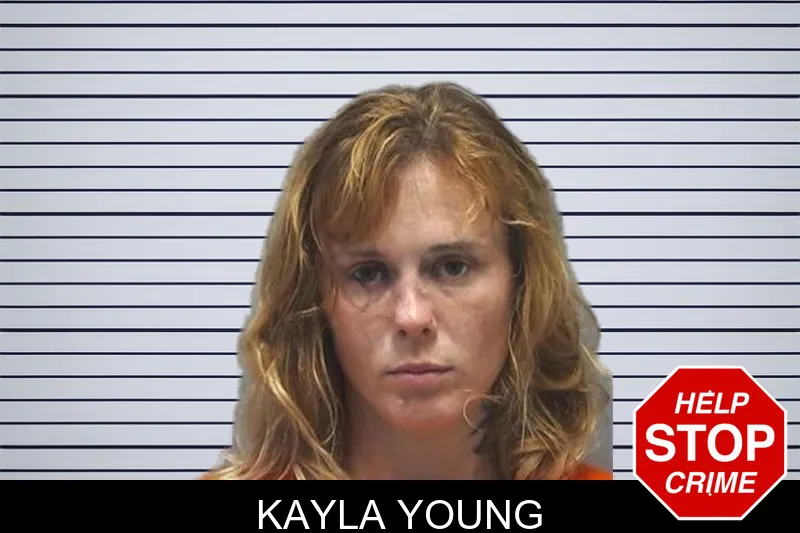 Kayla Young mugshot – Cherokee County , Georgia Kayla Young mugshot