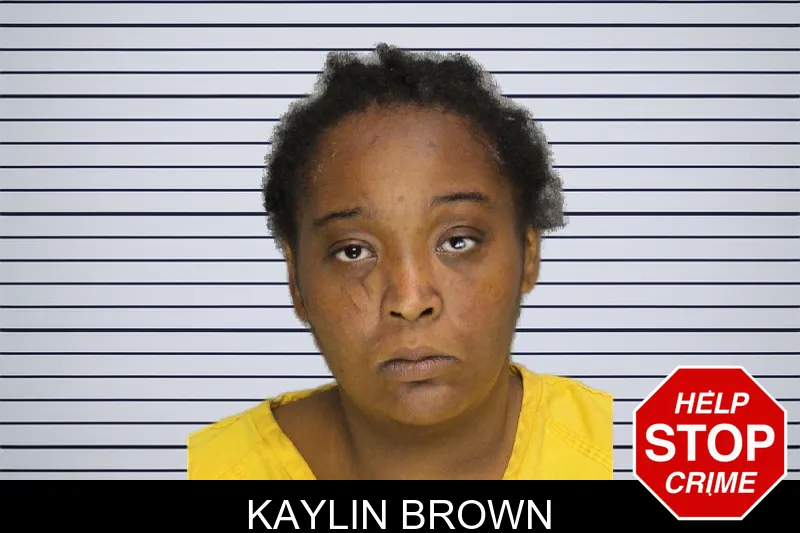 Kaylin Brown mugshot – Cobb County , Georgia Kaylin Brown mugshot