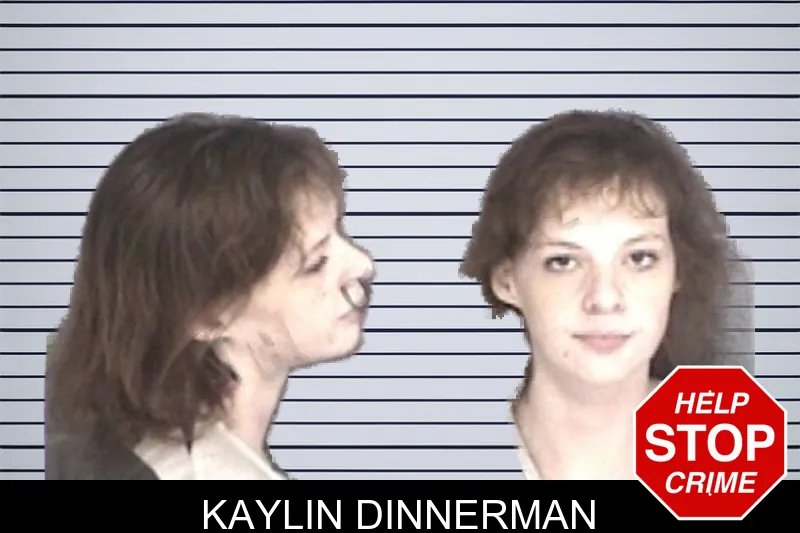Kaylin Dinnerman mugshot – Barrow County , Georgia Kaylin Dinnerman mugshot