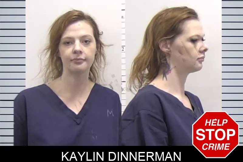 Kaylin Dinnerman mugshot