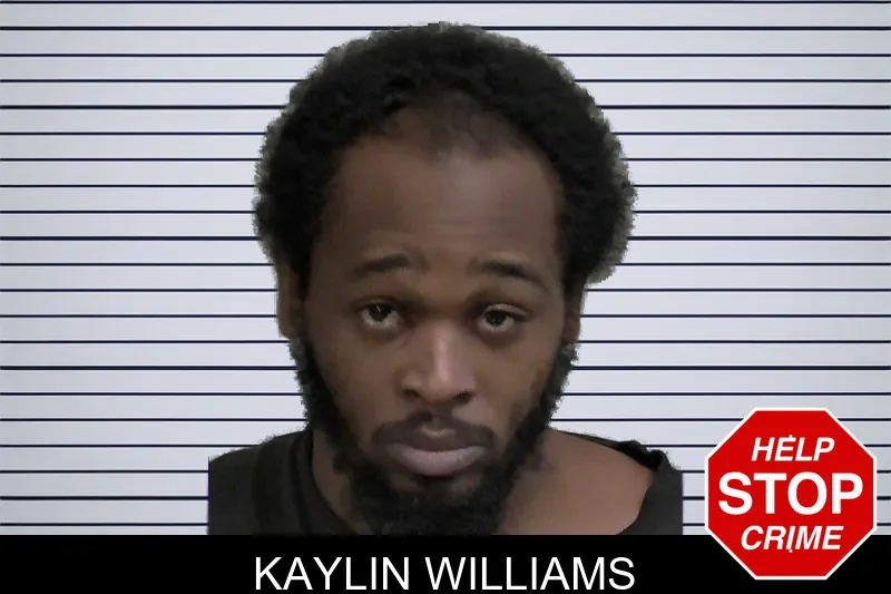 Kaylin Williams mugshot – Wayne County , Georgia Kaylin Williams mugshot