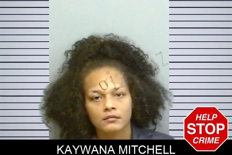 Kaywana Mitchell mugshot – Fulton County , Georgia Kaywana Mitchell mugshot