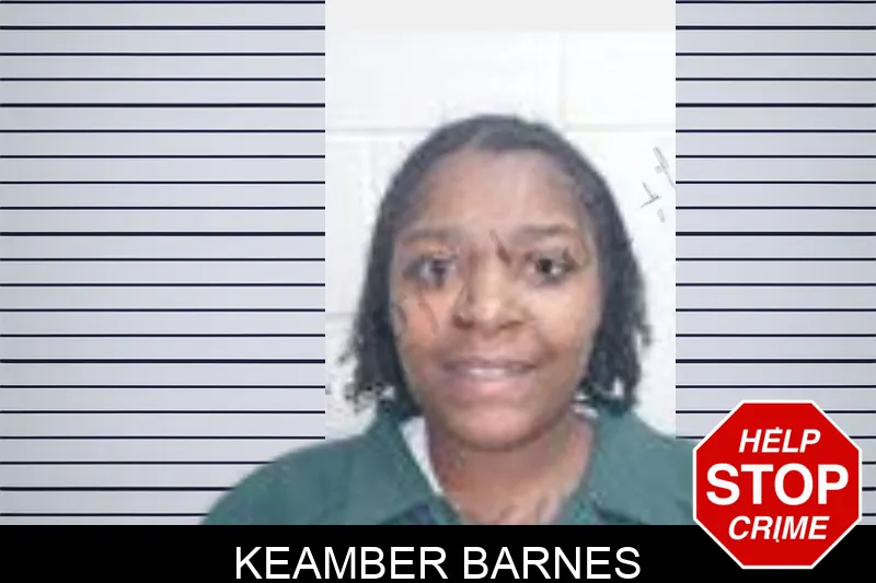 Keamber Barnes mugshot – Henry County , Georgia Keamber Barnes mugshot