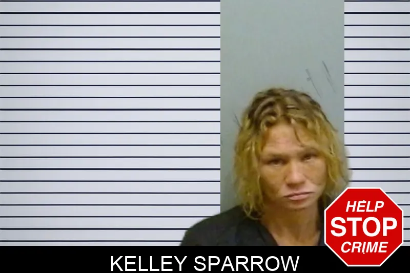 Kelley Sparrow mugshot – Fulton County , Georgia Kelley Sparrow mugshot