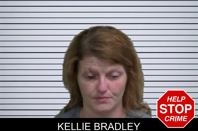 Kellie Bradley mugshot – Wayne County , Georgia Kellie Bradley mugshot