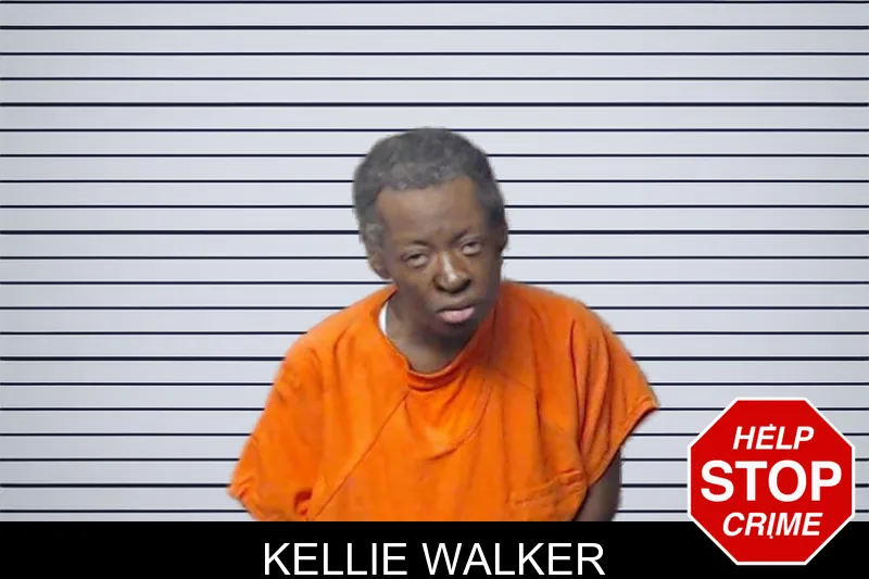 Kellie Walker mugshot – DeKalb County , Georgia Kellie Walker mugshot