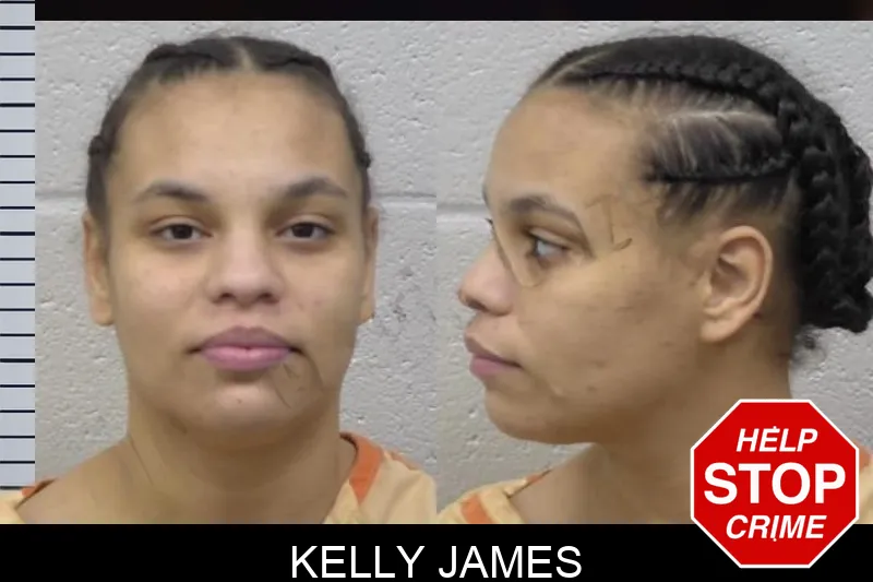 Kelly James mugshot – Paulding County , Georgia Kelly James mugshot