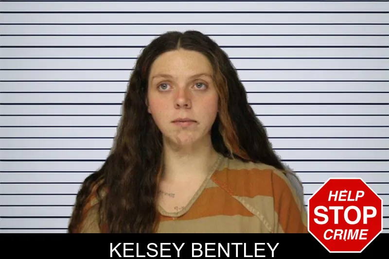 Kelsey Bentley mugshot – Hall County , Georgia Kelsey Bentley mugshot