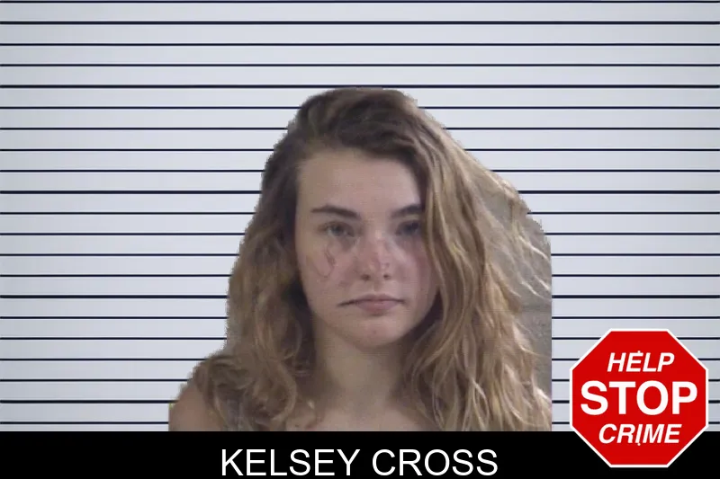 Kelsey Cross mugshot – Whitfield County , Georgia Kelsey Cross mugshot