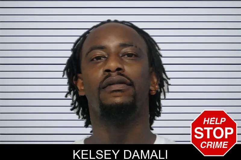 Kelsey Damali mugshot – Bibb County , Georgia Kelsey Damali mugshot