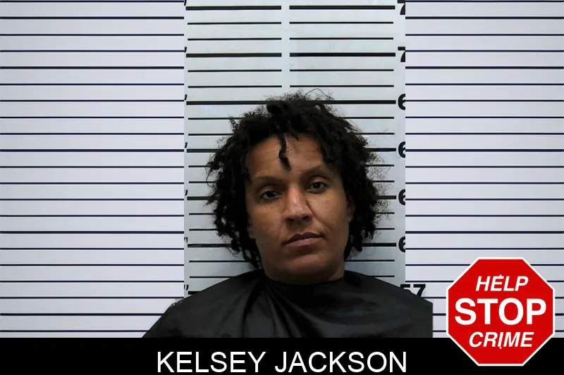 Kelsey Jackson mugshot – Hart County , Georgia Kelsey Jackson mugshot