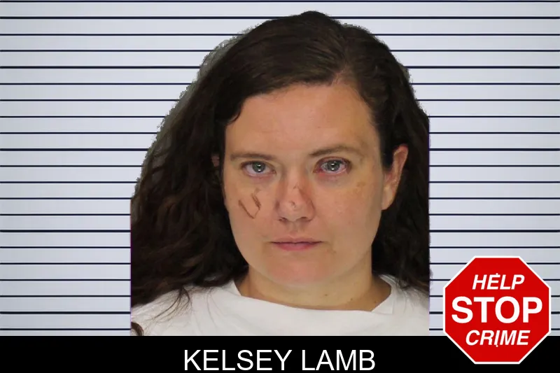 Kelsey Lamb mugshot – Cobb County , Georgia Kelsey Lamb mugshot