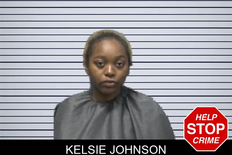 Kelsie Johnson mugshot – Forsyth County , Georgia Kelsie Johnson mugshot