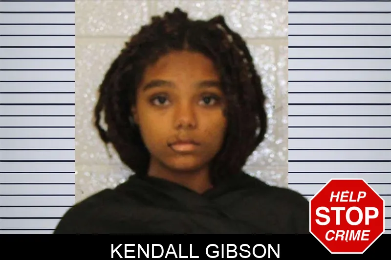 Kendall Gibson mugshot