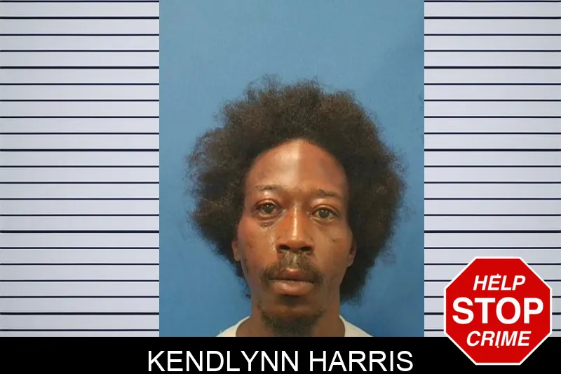 Kendlynn Harris mugshot – Troup County , Georgia Kendlynn Harris mugshot