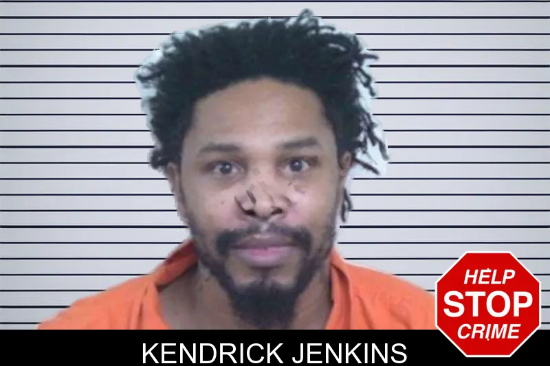 Kendrick Jenkins mugshot – Washington County , Georgia Kendrick Jenkins mugshot