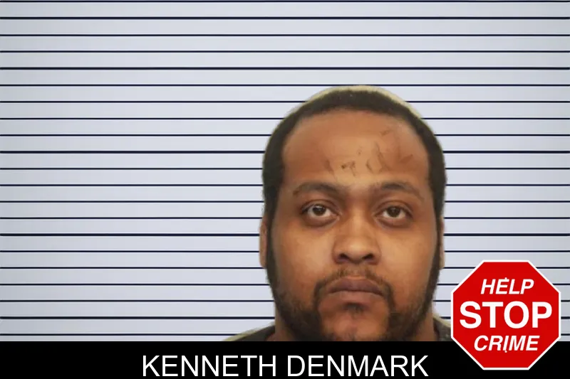 Kenneth Denmark mugshot – Chatham County , Georgia Kenneth Denmark mugshot