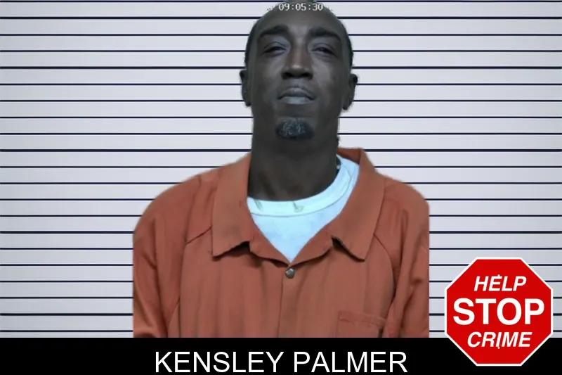 Kensley Palmer mugshot