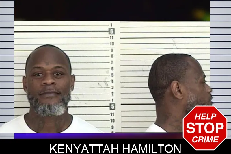 Kenyattah Hamilton mugshot – Camden County , Georgia Kenyattah Hamilton mugshot