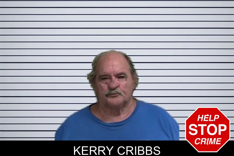 Kerry Cribbs mugshot – Wayne County , Georgia Kerry Cribbs mugshot