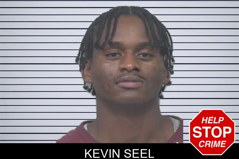 Kevin Seel mugshot – Gwinnett County , Georgia Kevin Seel mugshot
