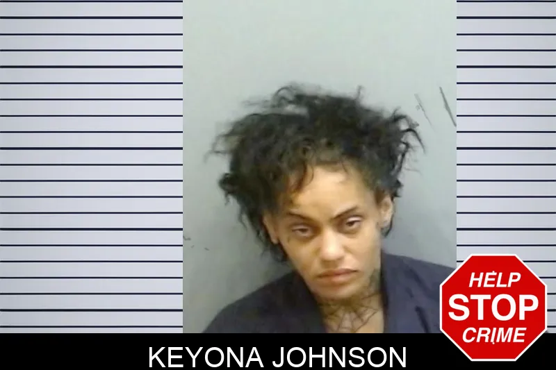 Keyona Johnson mugshot – Fulton County , Georgia Keyona Johnson mugshot