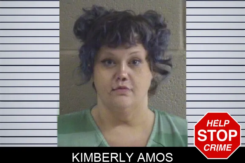 Kimberly Amos mugshot
