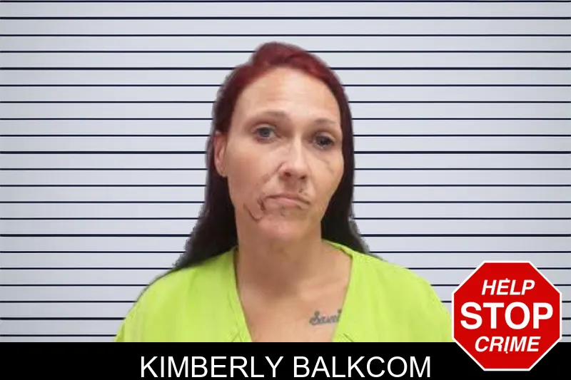 Kimberly Balkcom mugshot – Lee County , Georgia Kimberly Balkcom mugshot