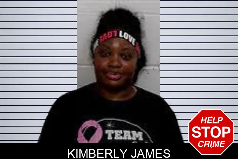 Kimberly James mugshot – Decatur County , Georgia Kimberly James mugshot