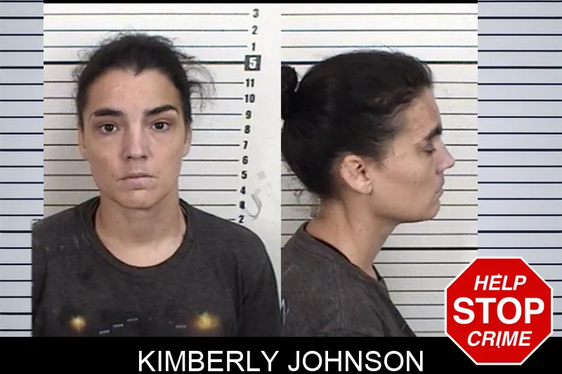 Kimberly Johnson mugshot – Camden County , Georgia Kimberly Johnson mugshot