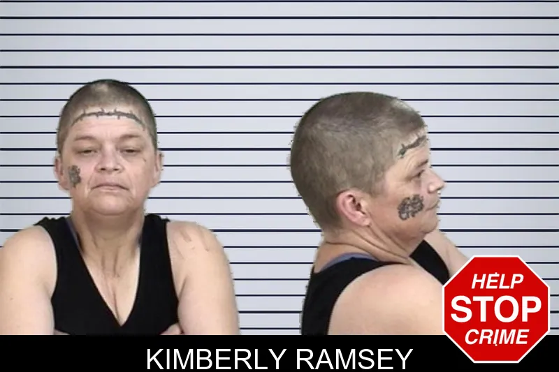 Kimberly Ramsey mugshot – Camden County , Georgia Kimberly Ramsey mugshot