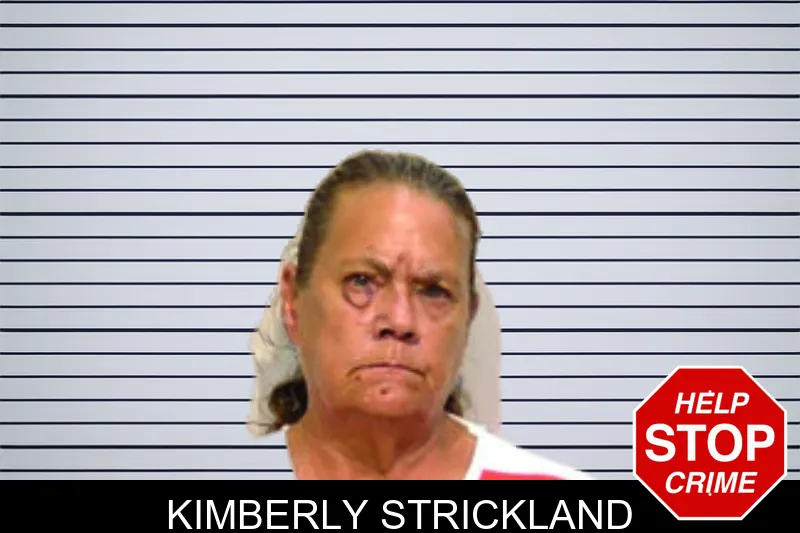 Kimberly Strickland mugshot – Bartow County , Georgia Kimberly Strickland mugshot
