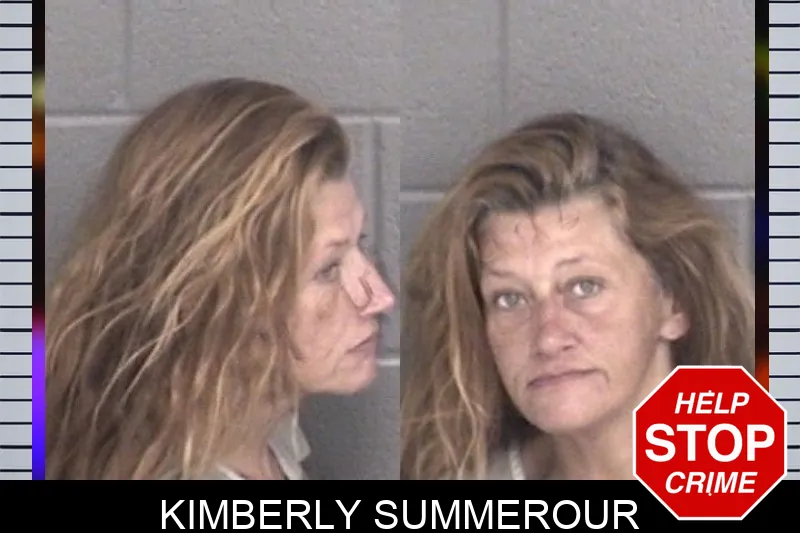 Kimberly Summerour mugshot – Barrow County , Georgia Kimberly Summerour mugshot