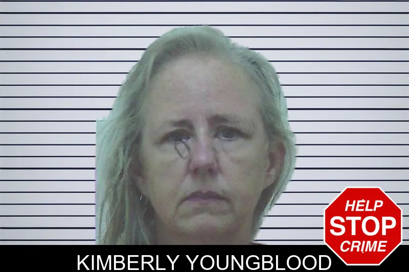 Kimberly Youngblood mugshot – Worth County , Georgia Kimberly Youngblood mugshot