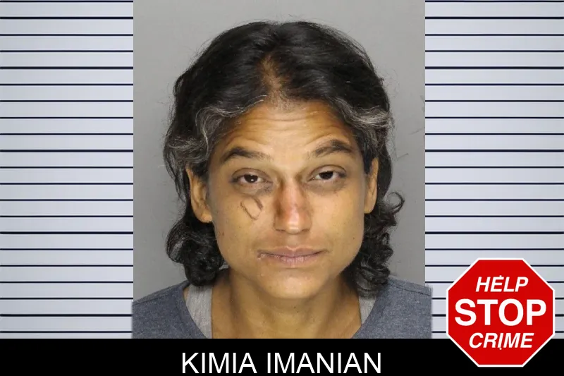 Kimia Imanian mugshot