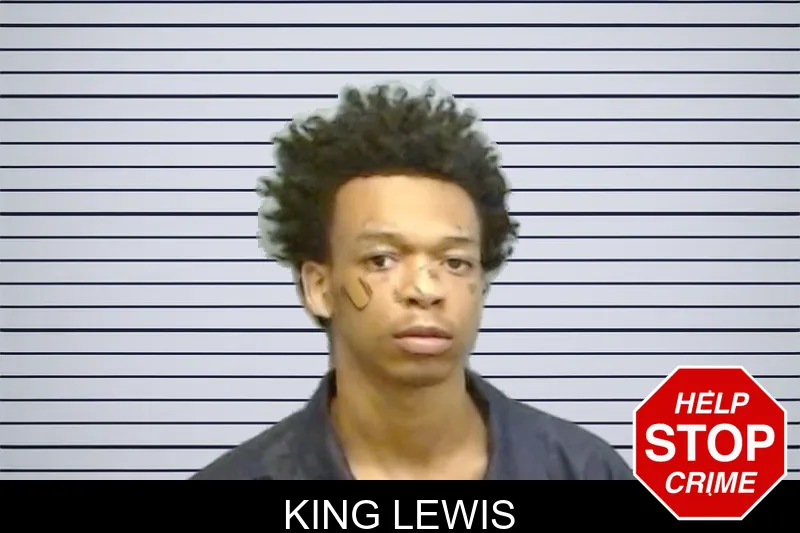 King Lewis mugshot