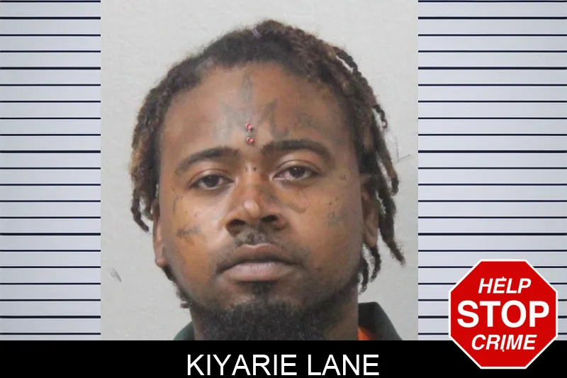 Kiyarie Lane mugshot – Mcintosh County , Georgia Kiyarie Lane mugshot