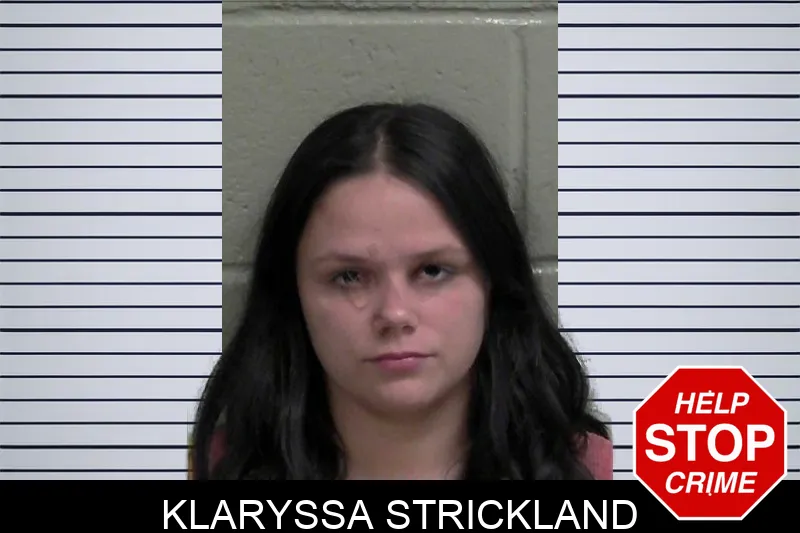 Klaryssa Strickland mugshot – Wayne County , Georgia Klaryssa Strickland mugshot