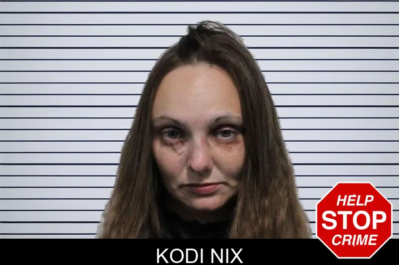 Kodi Nix mugshot – Habersham County , Georgia Kodi Nix mugshot