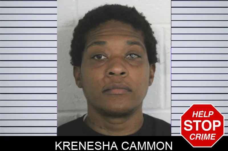 Krenesha Cammon mugshot – Floyd County , Georgia Krenesha Cammon mugshot